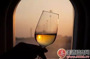 中国酒精饮料进口数额大幅增长